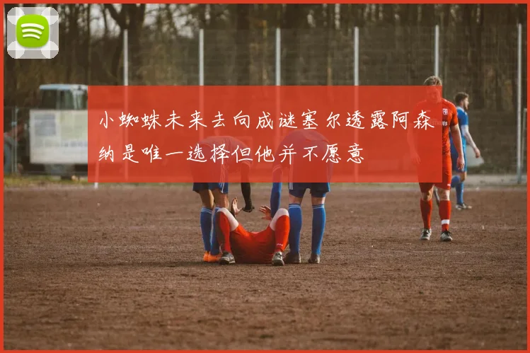 小蜘蛛未来去向成谜塞尔透露阿森纳是唯一选择但他并不愿意